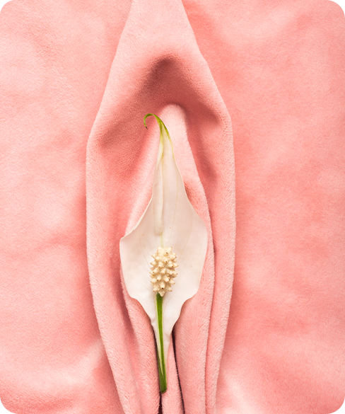 Vaginal Rejuvenation