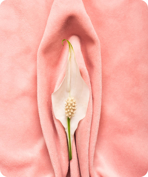 Designer Vagina Procedures